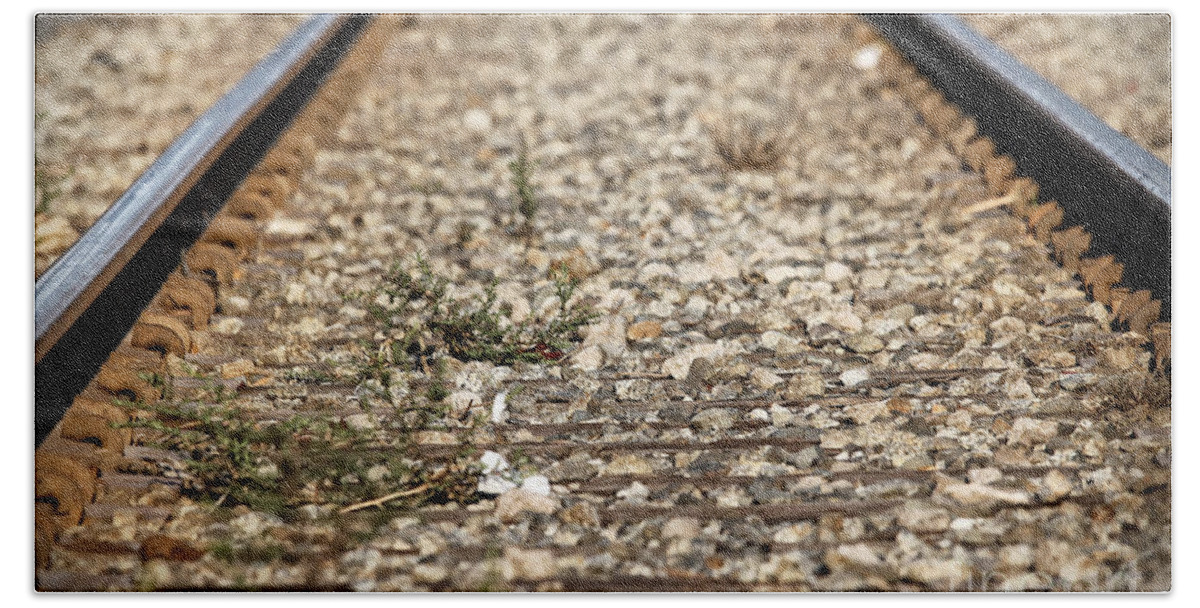 Plant Bath Towel featuring the photograph Train Tacks by Henrik Lehnerer