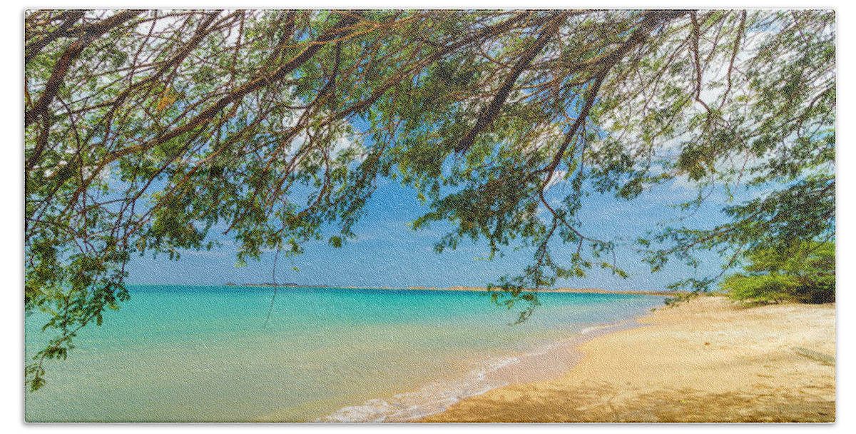 Beach Hand Towel featuring the photograph Tree and Beach by Jess Kraft