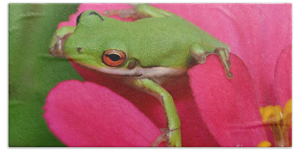 Frog Bath Towel featuring the photograph Tree Frog On A Pink Flower by Kathy Baccari