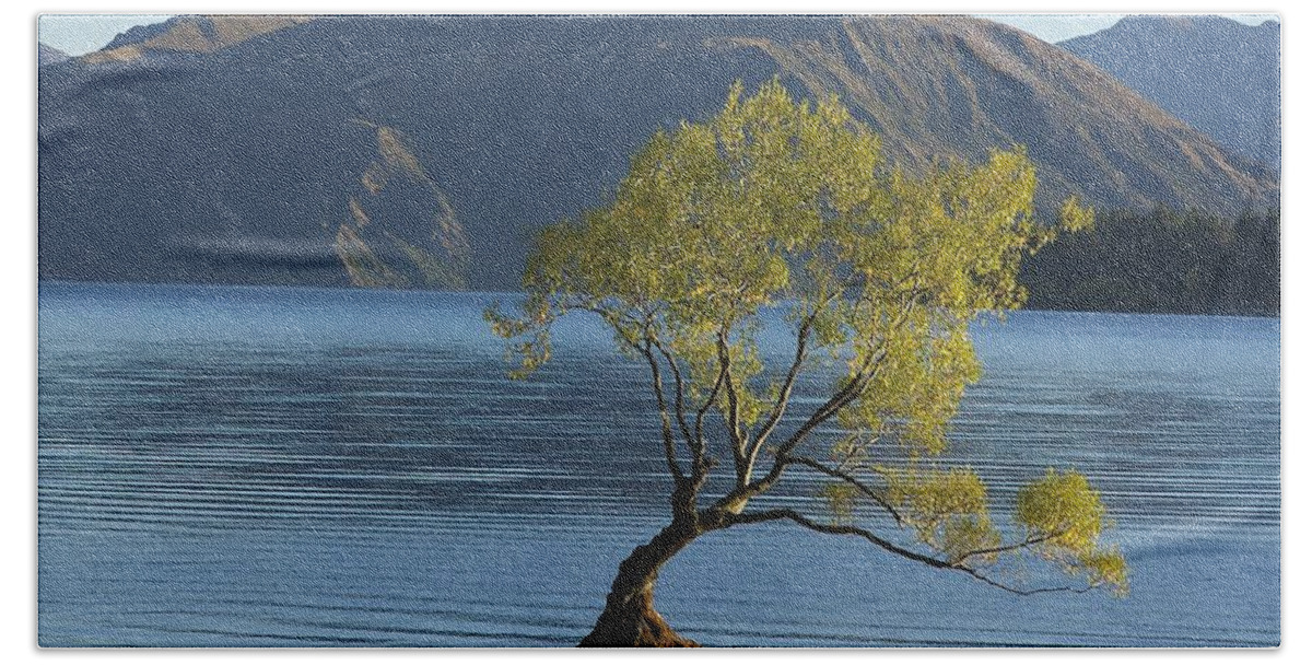 New Zealand Hand Towel featuring the photograph Tree in Lake Wanaka by Stuart Litoff
