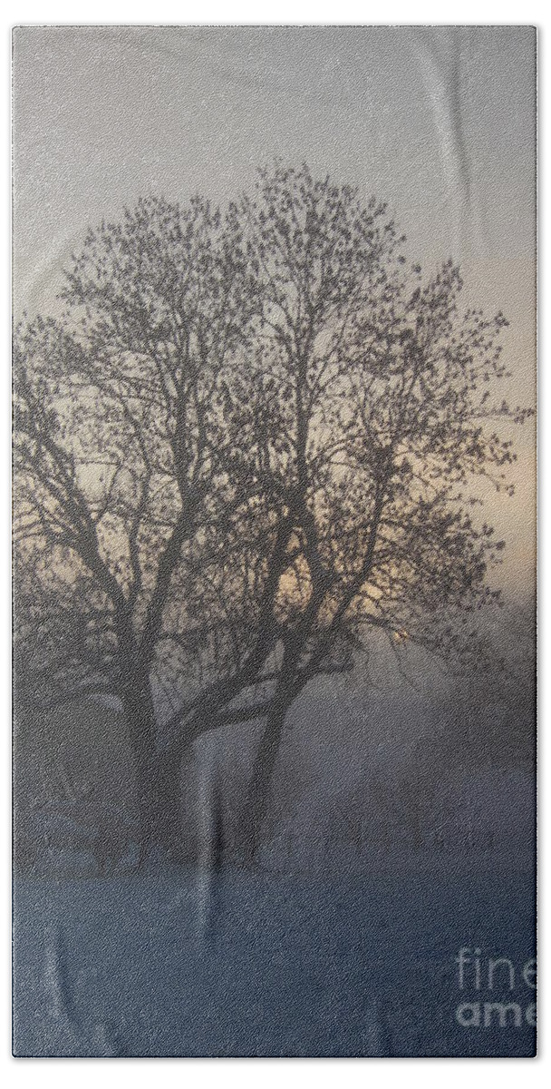Tree Hand Towel featuring the photograph Tree in the foggy winter landscape by Amanda Mohler