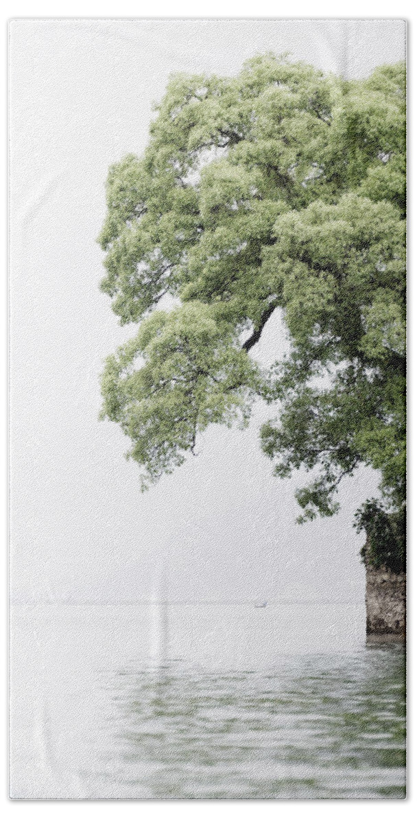 Tree Bath Towel featuring the photograph Tree next to a lake by Dutourdumonde Photography
