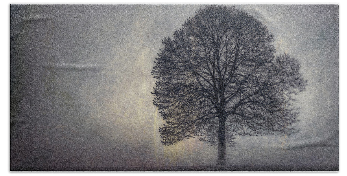 Tree Hand Towel featuring the photograph Tree of Life by Scott Norris