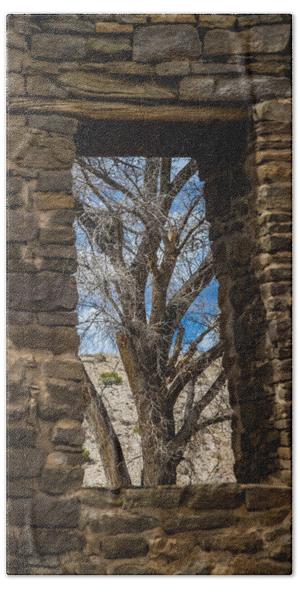 Art Hand Towel featuring the photograph Tree through window by Ron Pate