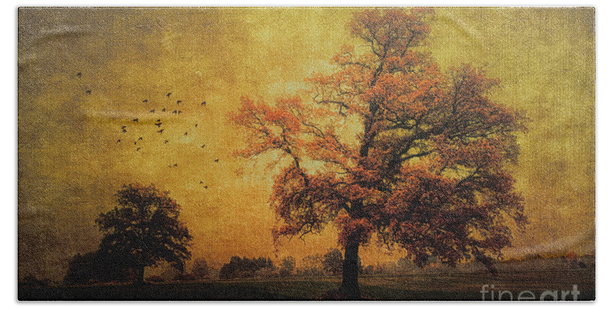 Photo Bath Towel featuring the photograph Trees in Autumn by Jutta Maria Pusl