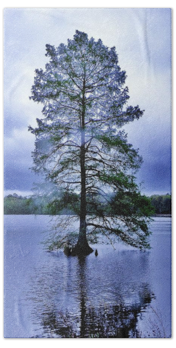 Bald Cypress Tree Bath Towel featuring the photograph The Healing Tree - Trap Pond State Park Delaware by Kim Bemis
