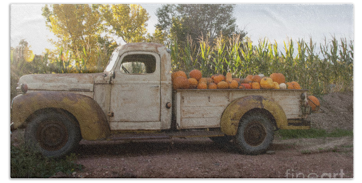 Agribusiness Hand Towel featuring the photograph Pumpkin Time by Juli Scalzi