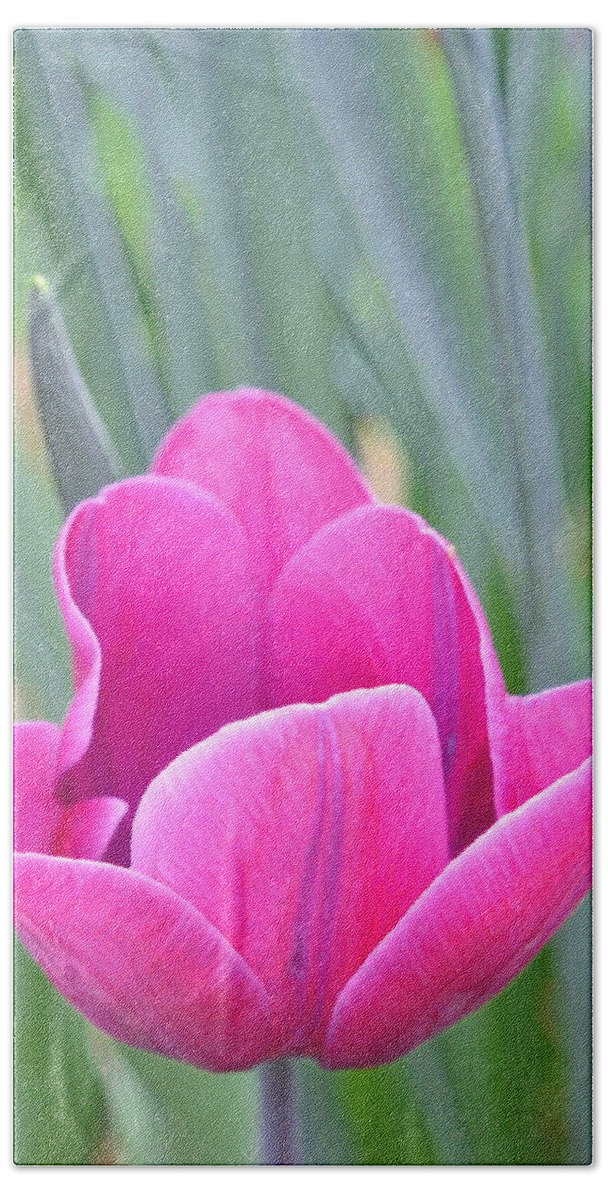 Floral Bath Towel featuring the photograph Tulip 53 by Pamela Cooper