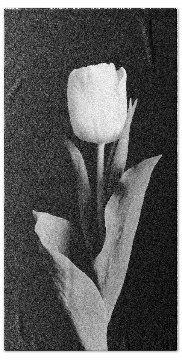 Tulip Bath Sheet featuring the photograph Tulip by Sebastian Musial