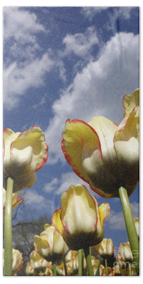 Budding Hand Towel featuring the photograph Tulips and Clouds by Jacqueline Athmann
