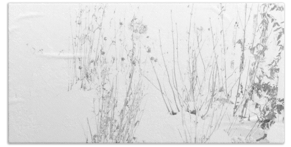 Black And White Image Bath Towel featuring the photograph Weeds in Snow by Valerie Collins