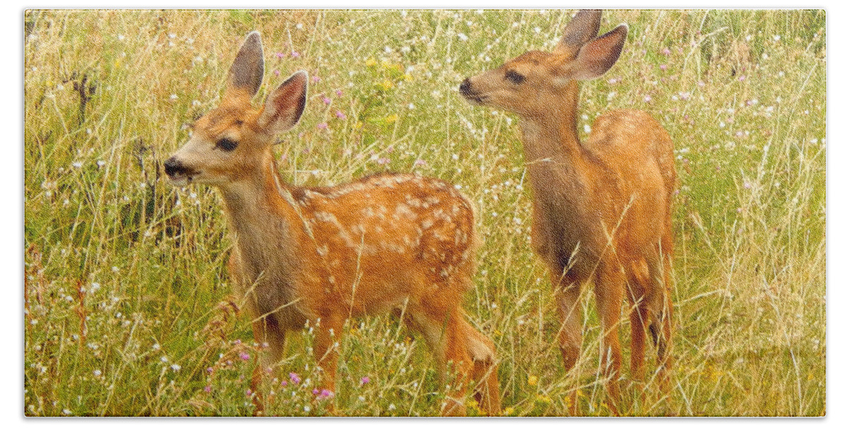 Photo Bath Towel featuring the photograph Twin Fawns by Dan Miller