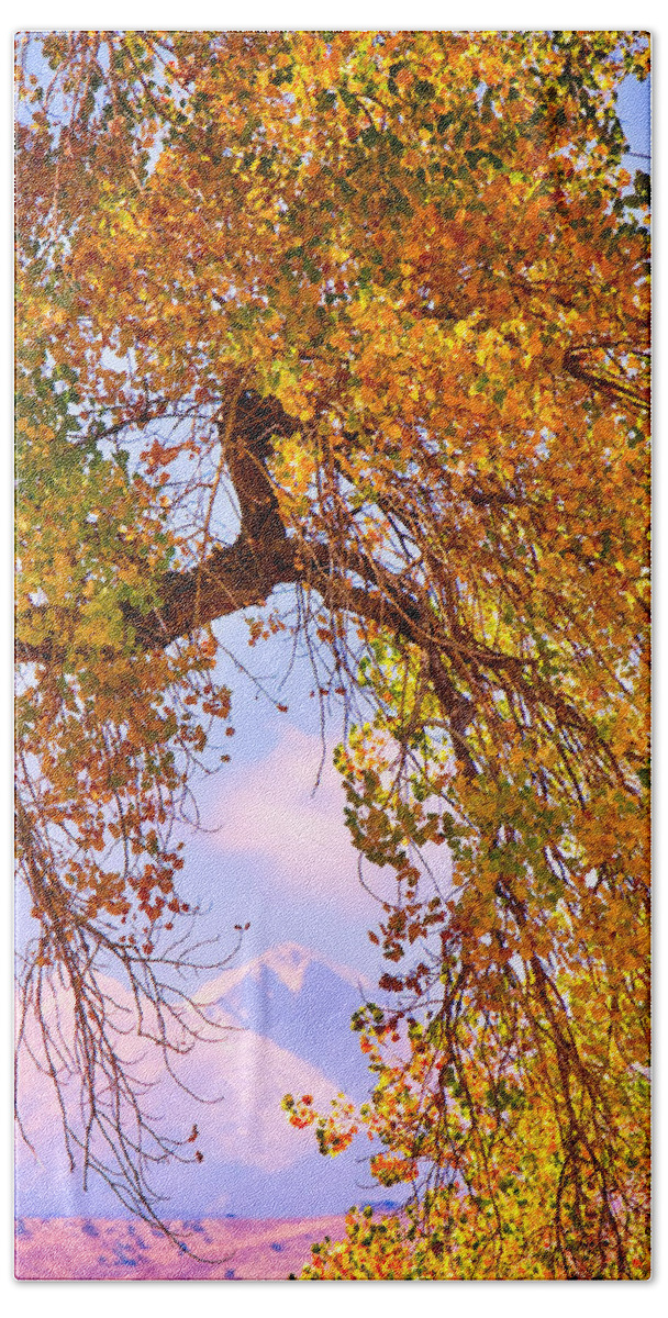 Longs Peak Bath Towel featuring the photograph Twin Peaks - Longs Peak and Mt Meeker Colorful Autumn View by James BO Insogna