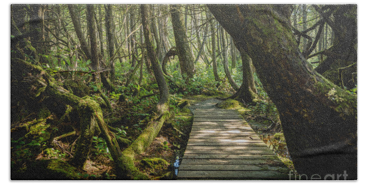 Bontanical Beach Bath Towel featuring the photograph Twisted Forest by Carrie Cole