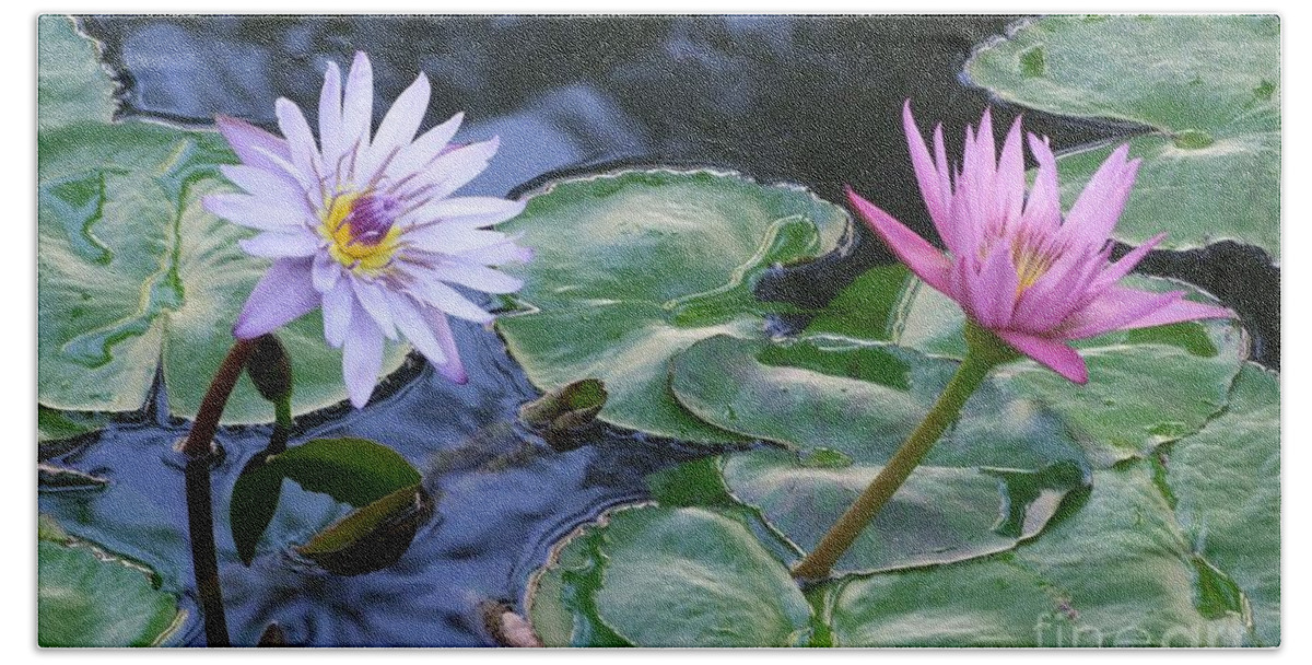 Water Lily Hand Towel featuring the photograph Two Beauties by Mary Deal