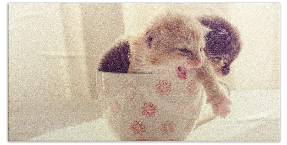Two Hand Towel featuring the photograph Two Cute Kittens in a Cup by Spikey Mouse Photography