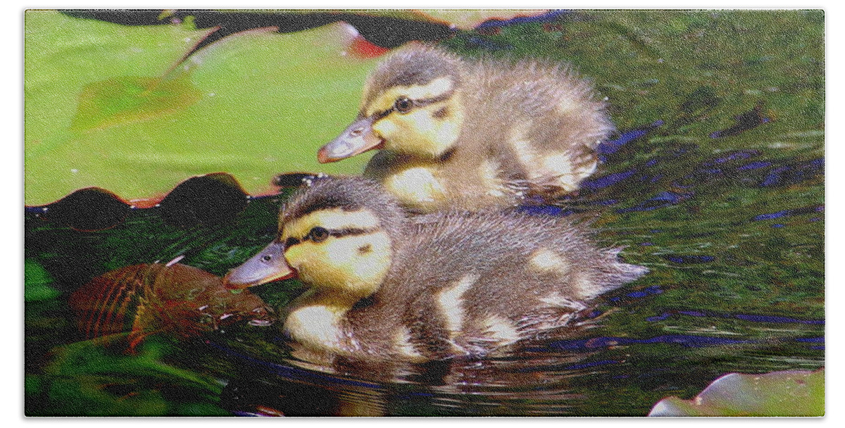 Ducklings Hand Towel featuring the photograph Two Ducklings by Amanda Mohler