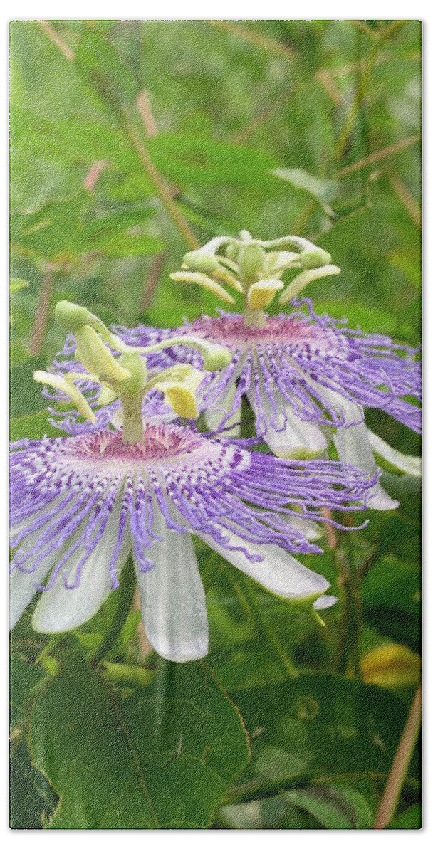 Passion Flowers Bath Towel featuring the photograph Two to Tango by Cleaster Cotton