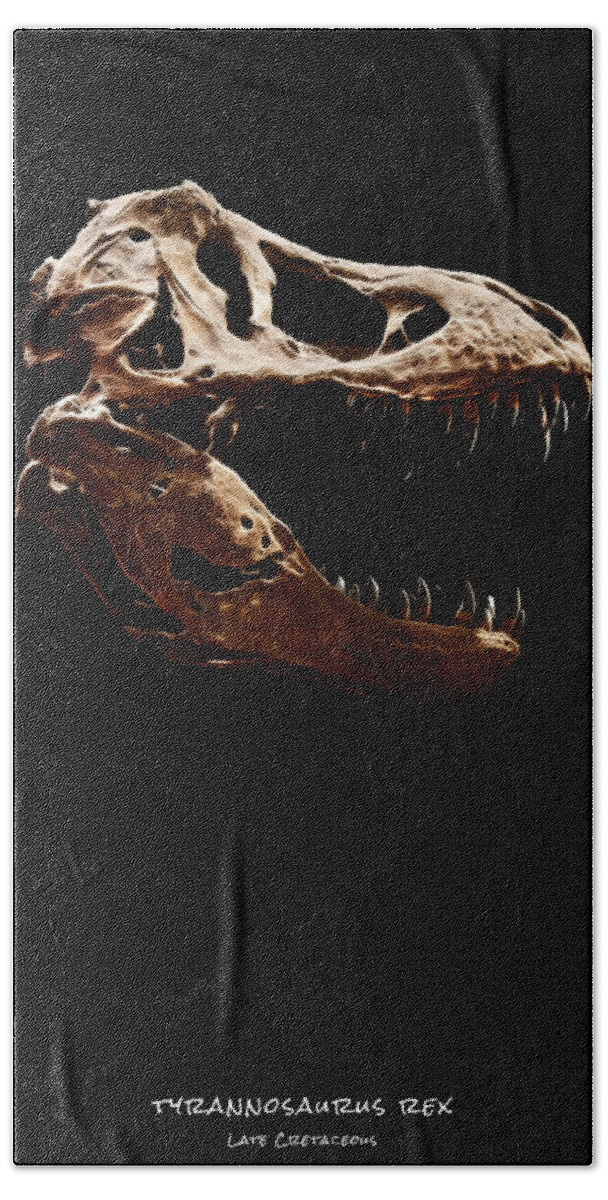 Tyrannosaurus Rex Skull Hand Towel featuring the photograph Tyrannosaurus rex skull 1 by Weston Westmoreland