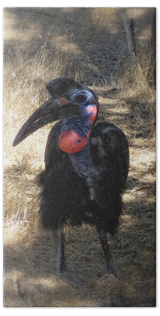 Large Bird Bath Sheet featuring the photograph Ugly Bird Ball by Donna Blackhall