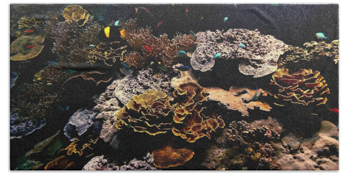 Under The Sea Bath Towel featuring the photograph Under the Sea by Jenny Hudson