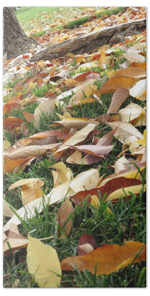 Fall Leaves Hand Towel featuring the photograph Underfoot by Jessica Myscofski