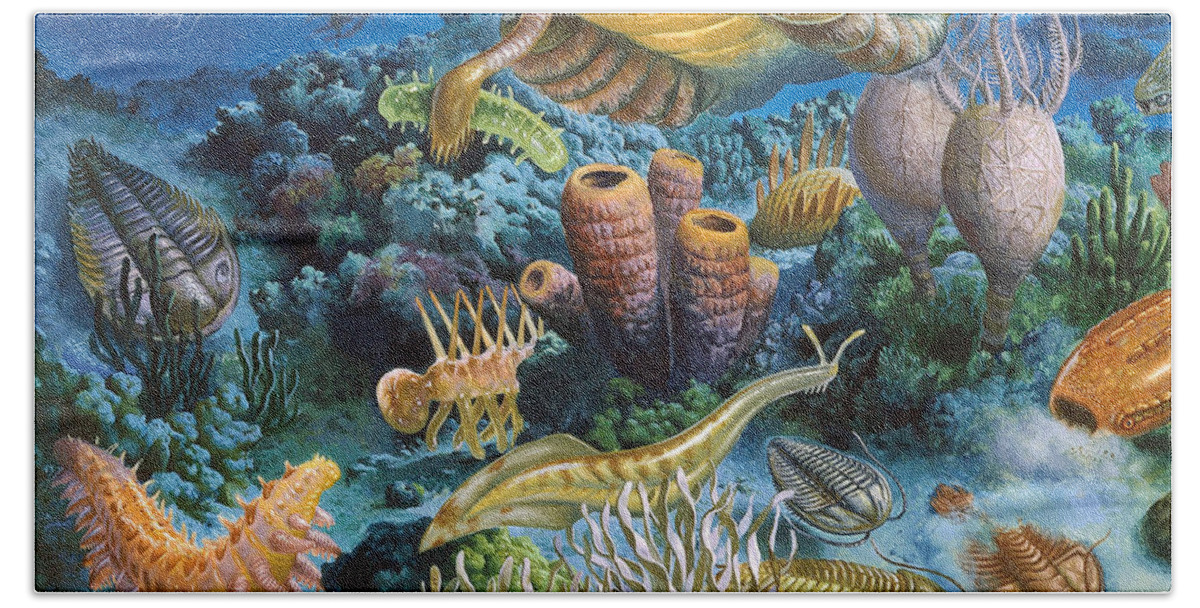 Illustration Bath Towel featuring the photograph Underwater Paleozoic Landscape by Publiphoto