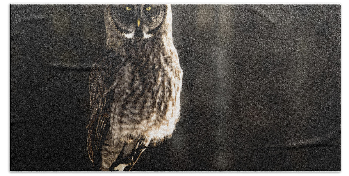 Owl Hand Towel featuring the photograph Unshaken by Lori Dobbs