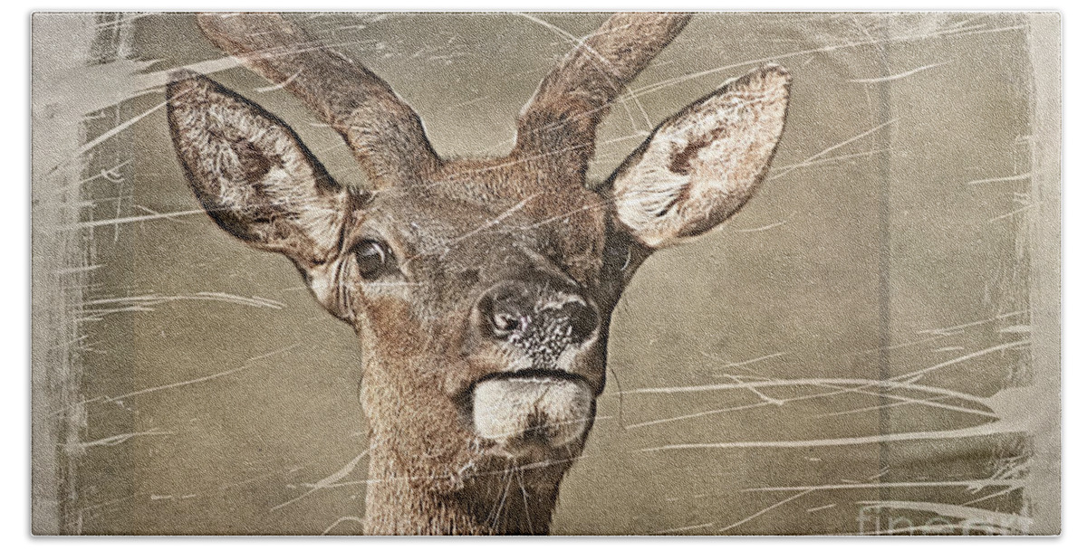Deer Bath Towel featuring the photograph Up Close and Personal by Teresa Zieba