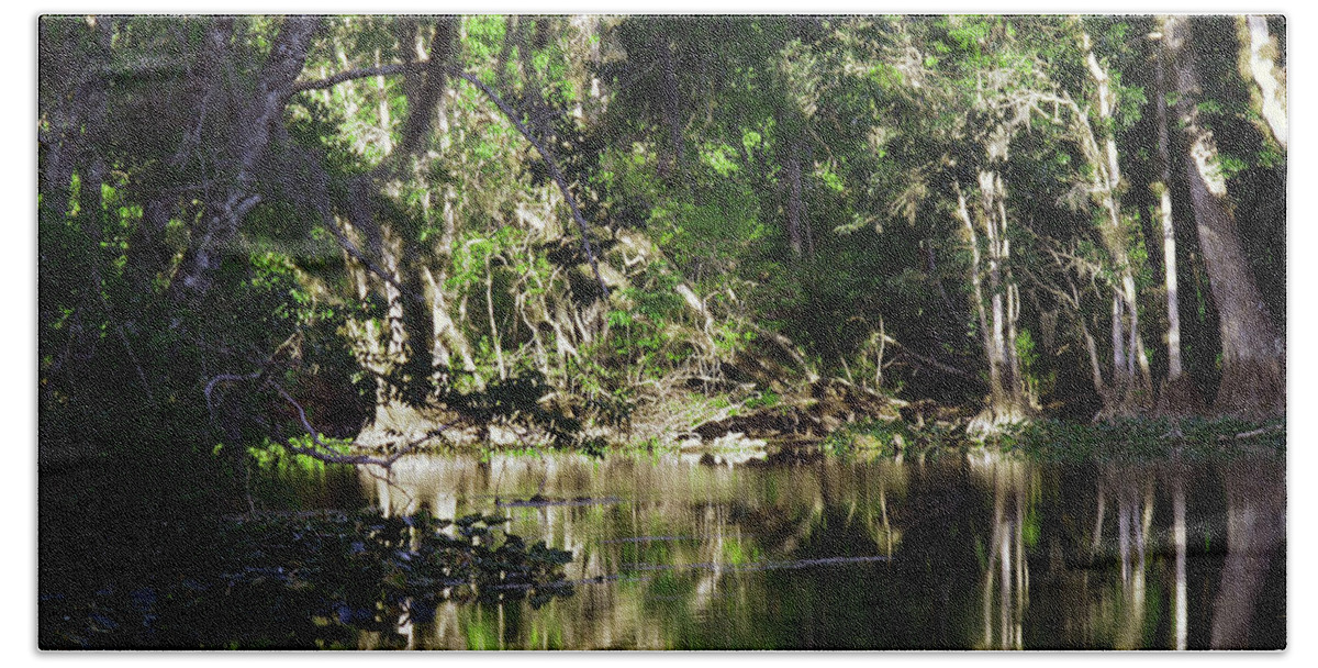 Ocklawaha River Hand Towel featuring the photograph Up The Lazy River by Bob Johnson