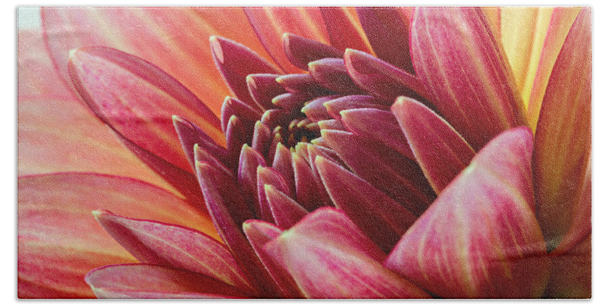 Dahlia Hand Towel featuring the photograph Uplifting 2 by Mary Jo Allen