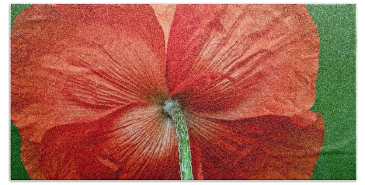 Poppy Hand Towel featuring the photograph Veterans Day Remembrance by Tikvah's Hope