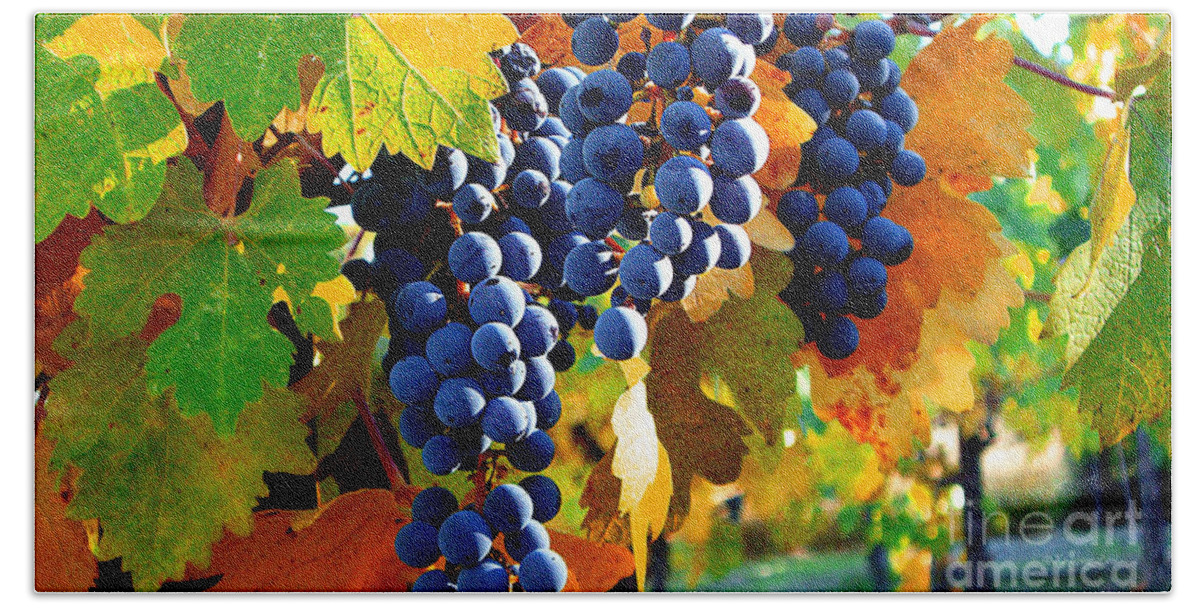 Autumn Hand Towel featuring the photograph Vineyard 2 by Xueling Zou