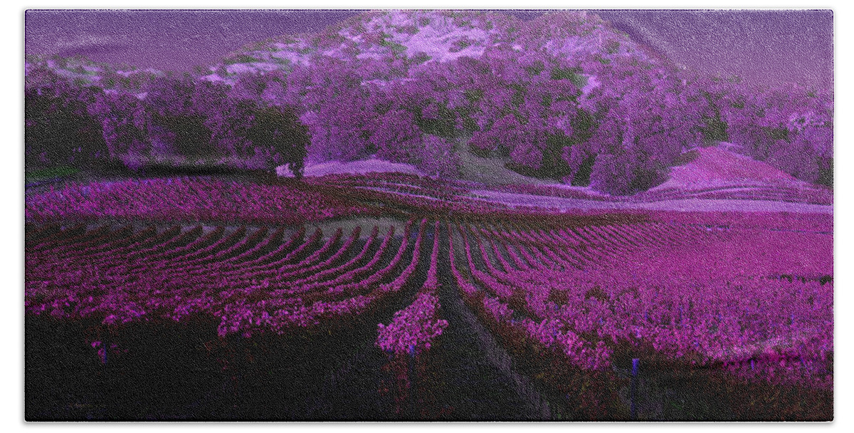 Landscape Bath Towel featuring the photograph Vineyard 41 by Xueling Zou