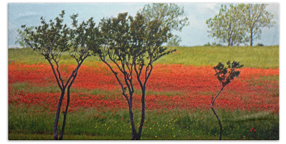 Texas Wildflowers Hand Towel featuring the photograph Vivid Orange on Texas Hillside by Connie Fox