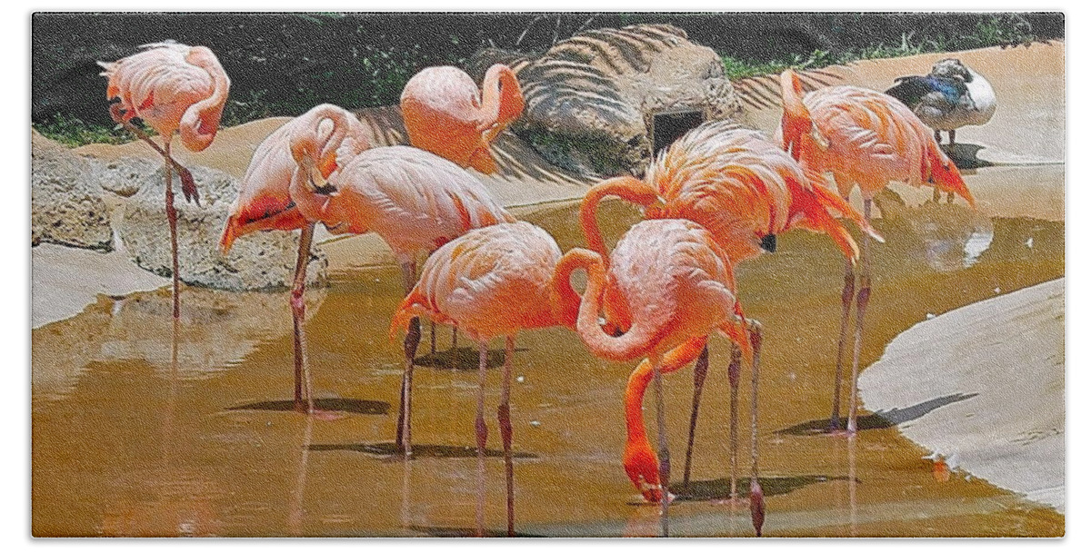 Flamingo Bath Towel featuring the photograph Waikiki Flamingos by Michele Myers