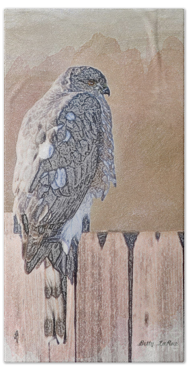 Sharp Shinned Hawk Hand Towel featuring the photograph Waiting for Mr. Goodbird by Betty LaRue