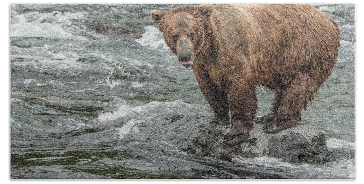 Alaska Bath Towel featuring the photograph Waiting for the Right Moment by Joan Wallner