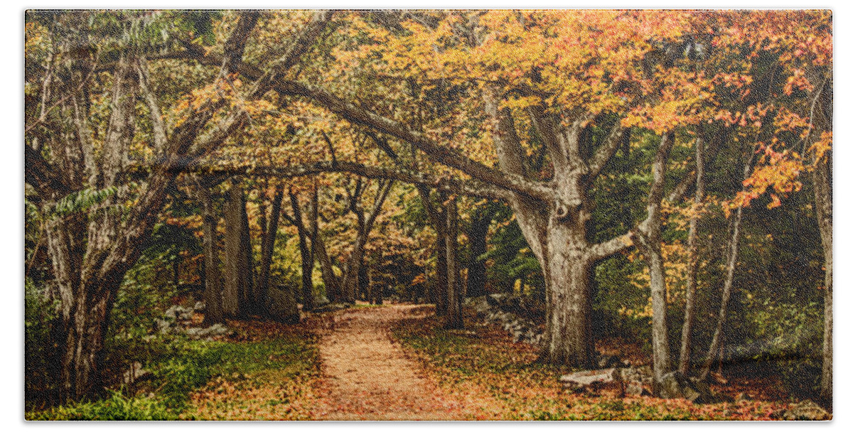 Autumn Foliage New England Bath Towel featuring the photograph Walk in the woods by Jeff Folger