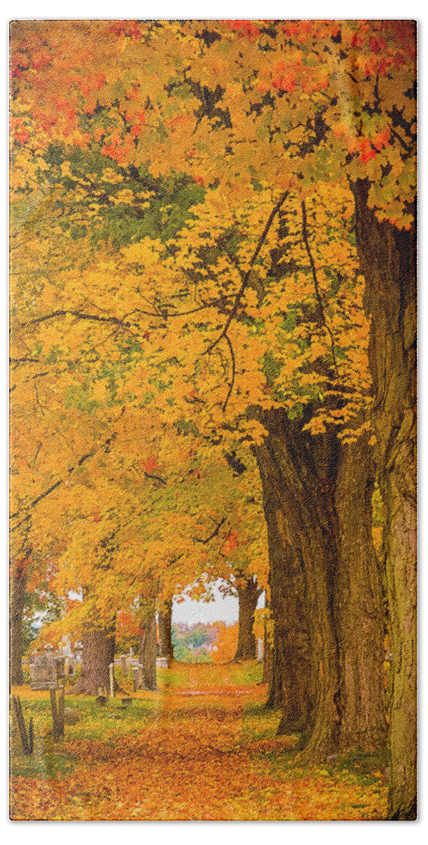 Autumn Foliage Hand Towel featuring the photograph Walk the path to see where it goes by Jeff Folger