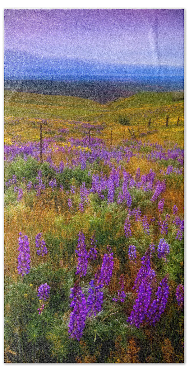 Wildflowers Hand Towel featuring the photograph Walking along the Fence line by Darren White