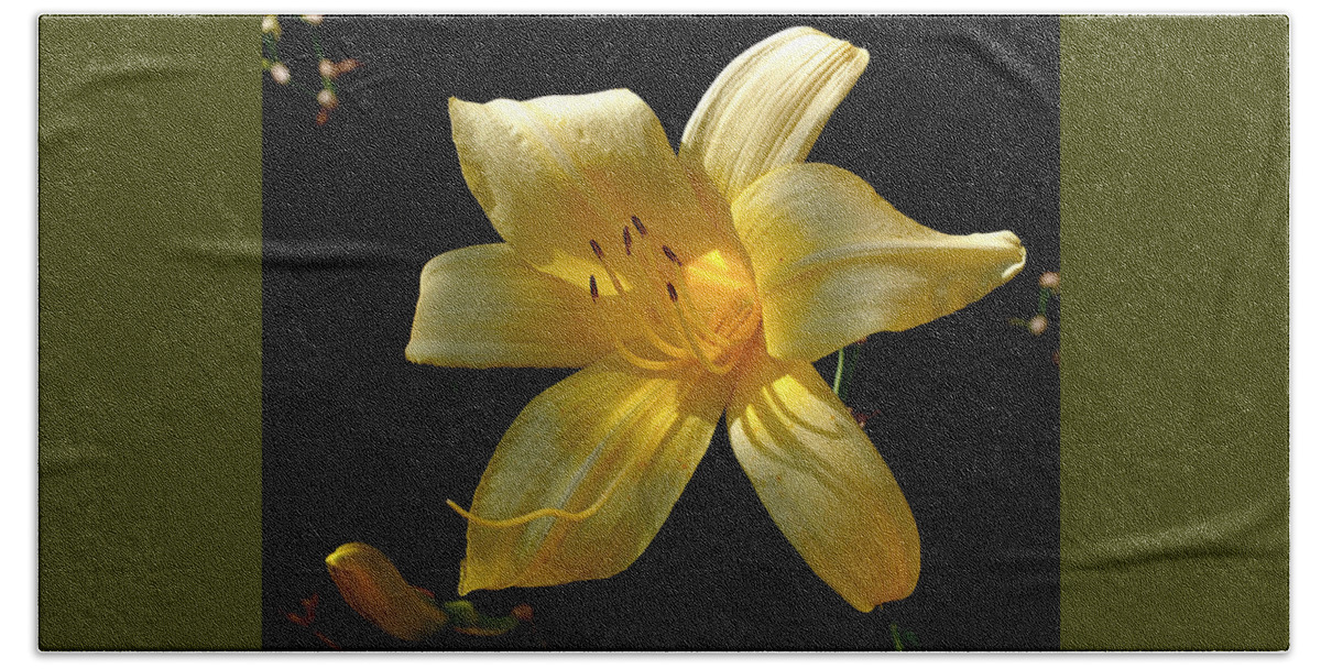 Lily Bath Towel featuring the photograph Warm Glow by Rona Black