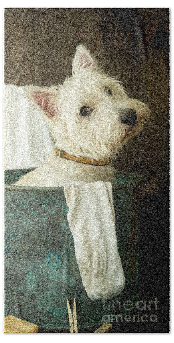 Dog Hand Towel featuring the photograph Wash Day by Edward Fielding