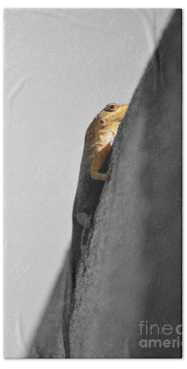 Lizard Hand Towel featuring the photograph Watching You by Laura Forde