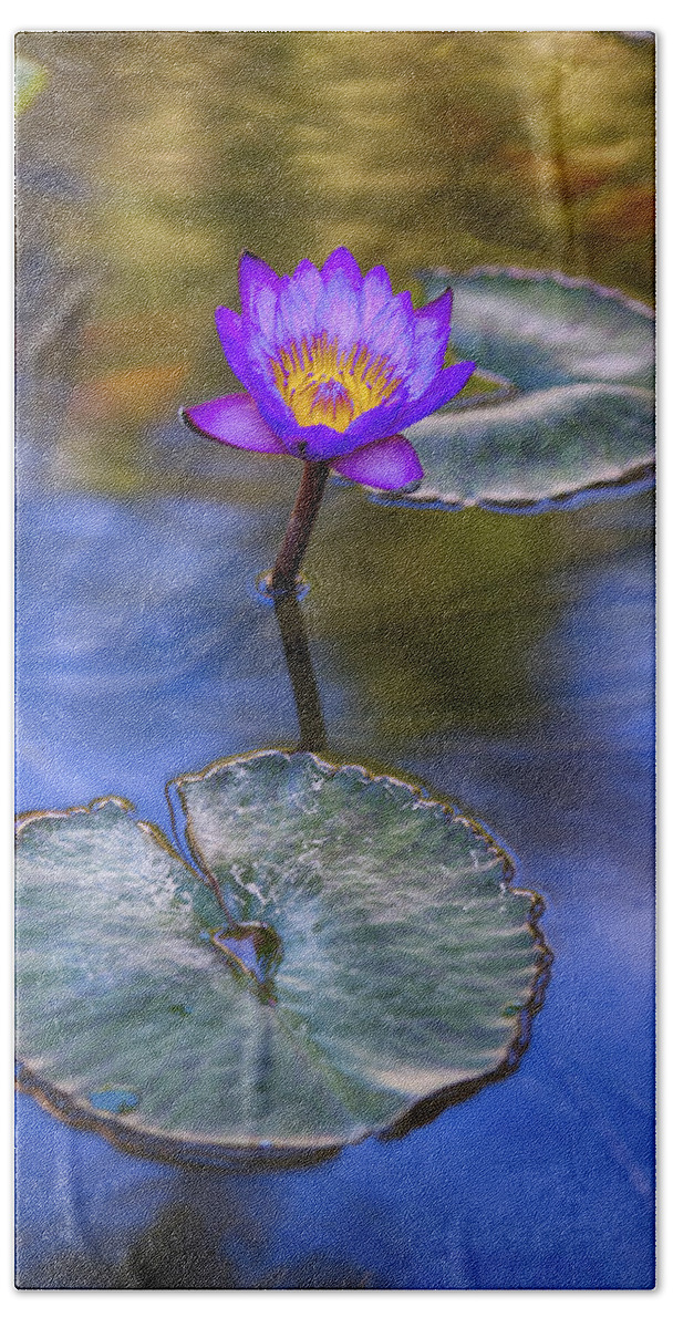 Water Lily Bath Towel featuring the photograph Water Lily 4 by Scott Campbell