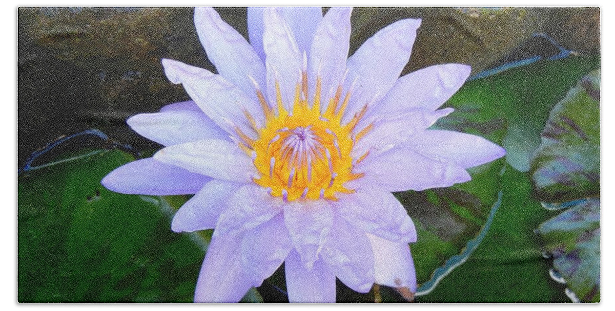 Water Lily Bath Towel featuring the photograph Water Lily by Laura Forde