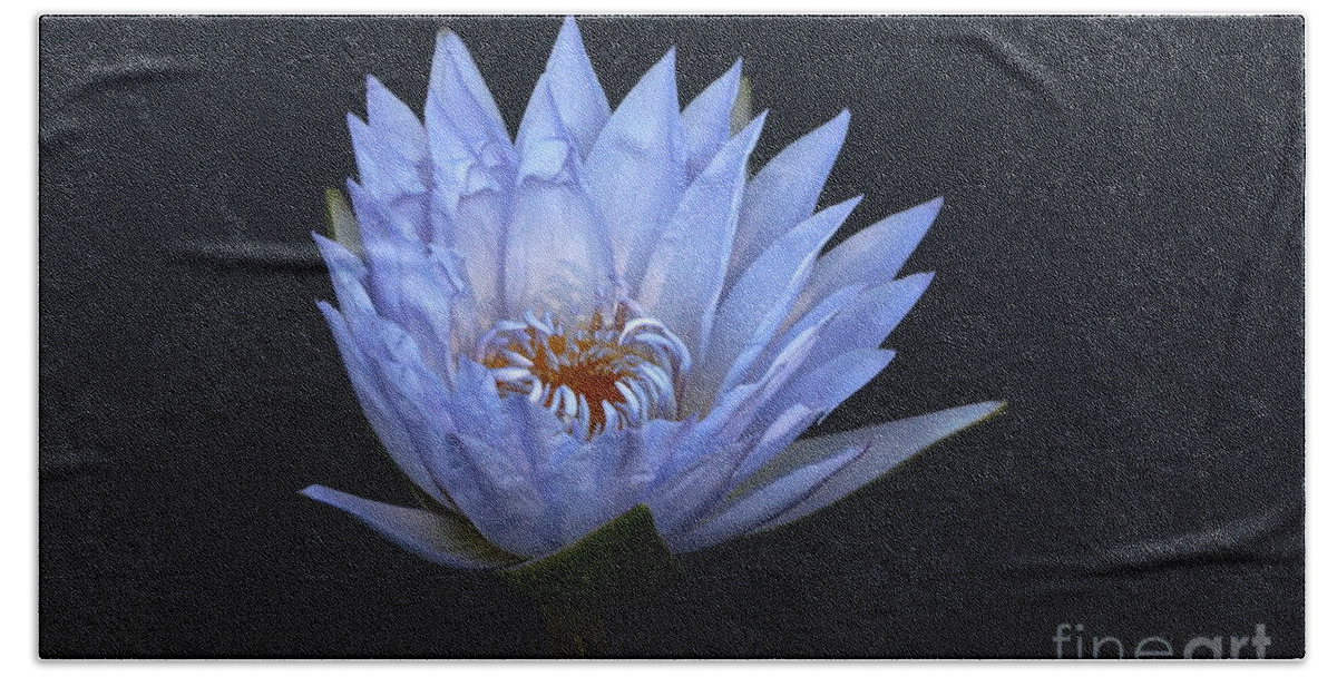 Blue Lavender Water Lily Blossom Hand Towel featuring the photograph Water Lily Shades of Blue and Lavender by Byron Varvarigos