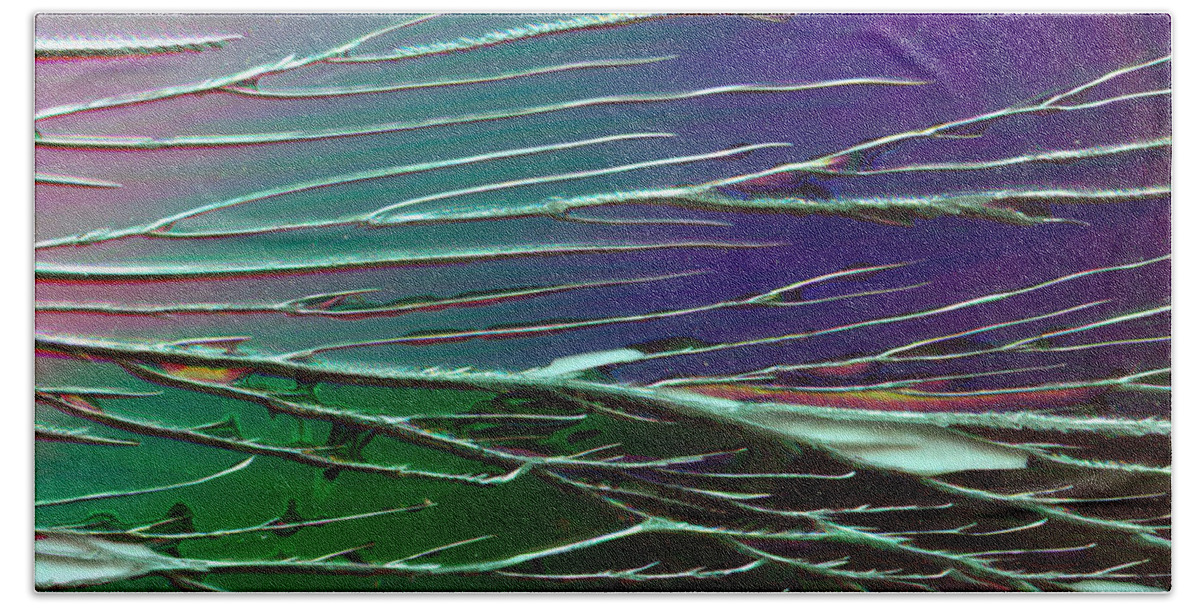 Web Bath Towel featuring the photograph Webs of Green and Purple by Lynn Hansen