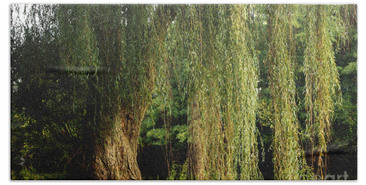 Weeping Willow Hand Towel featuring the photograph Weeping Willow by Gary Richards