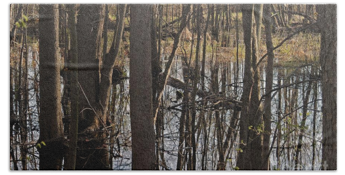 Creek Bath Towel featuring the photograph Wetland by Joseph Yarbrough